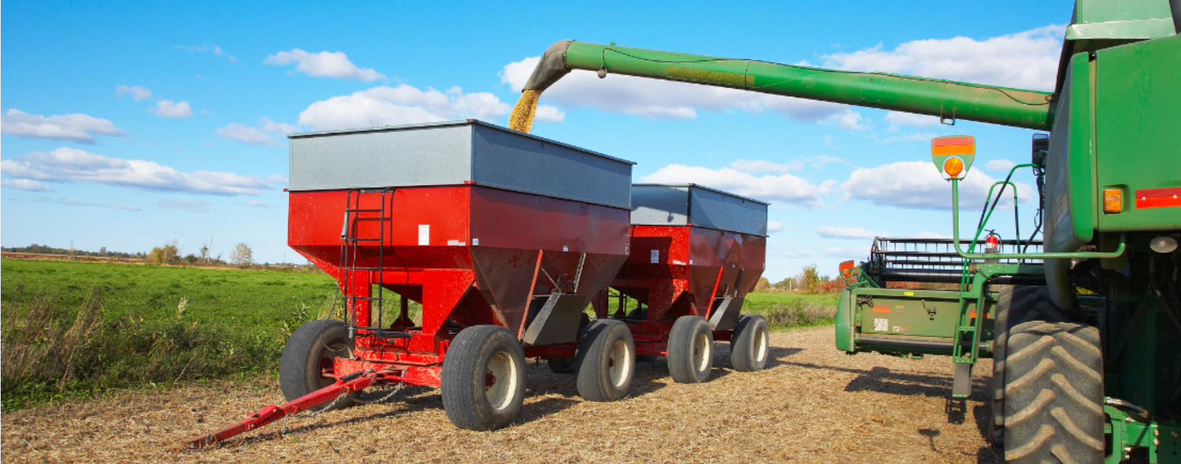 Seguros Agrícolas